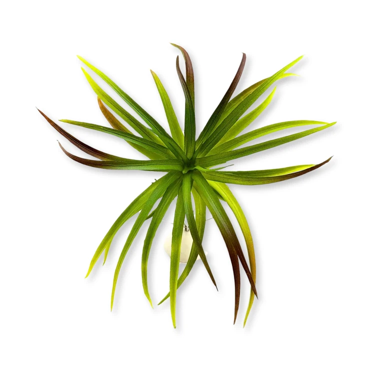 e7ad6869ddab984cf54147acc0fe5b73