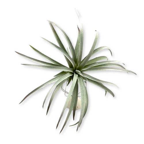 179d8eb7e22b35f6bb407847d78f5219