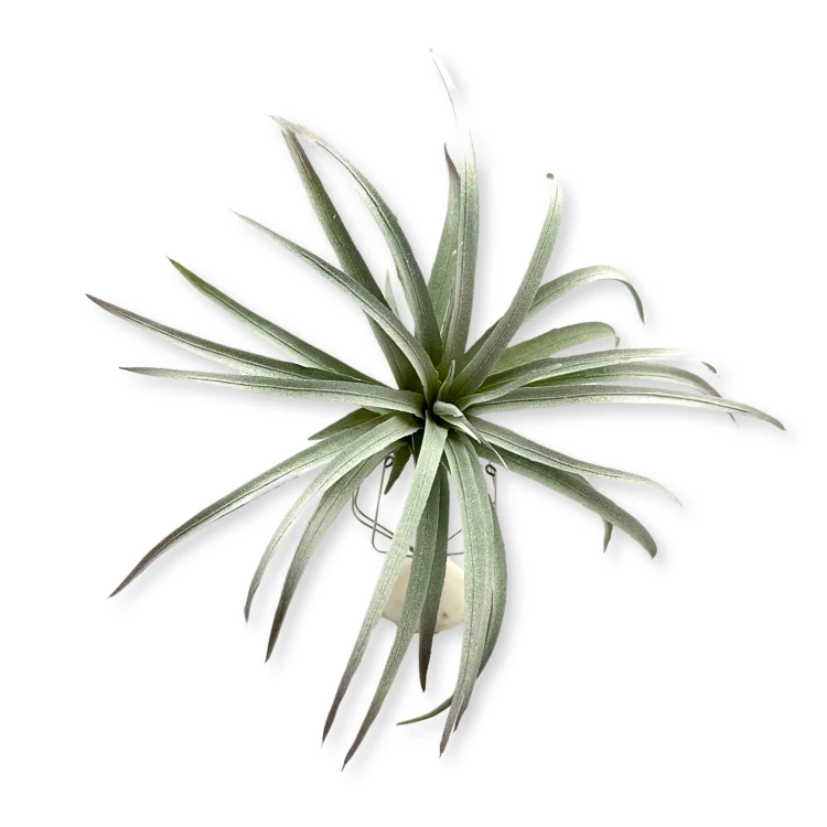 179d8eb7e22b35f6bb407847d78f5219