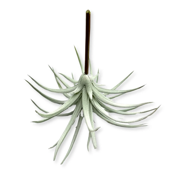 cc71c7319a48c83f8da2dc42d985a4e4