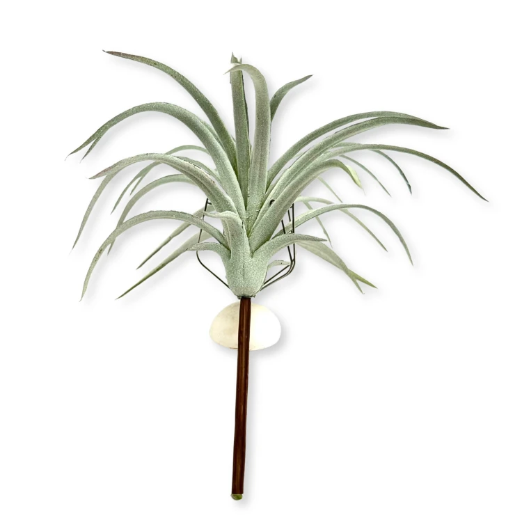 e7cc6b365d67ec52cf9ecf70d3202c98