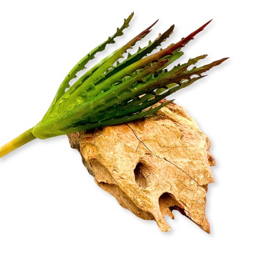 ac589a6f2122fec9a71fe59819e47744