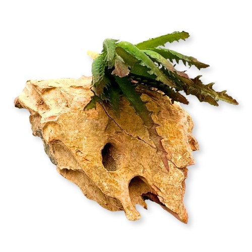 e63c924d4e38aa05f5ecdaeb4cdb7405