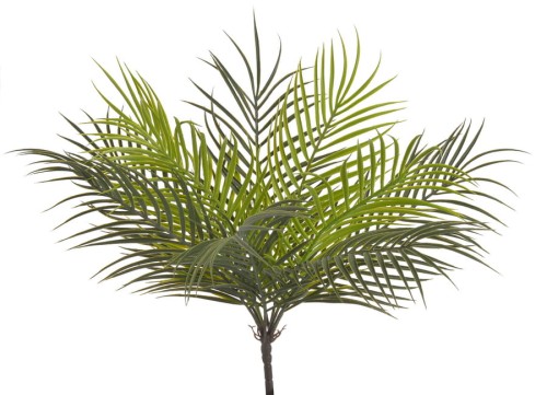 BioPlant Palm 49cm .jpg