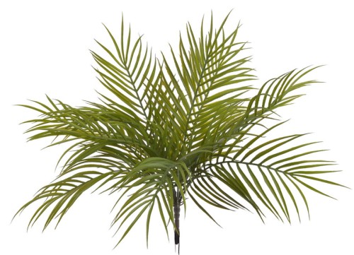 BioPlant Palm 49cm 2.jpg