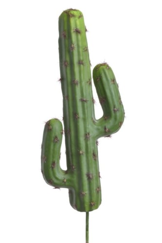 BioPlant Desert Cactus.jpg