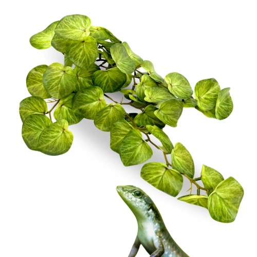 f49d4fdf1d300530ab488b87e1bb2010