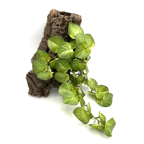 501ea55f7aadd746f3b214602dbadccb