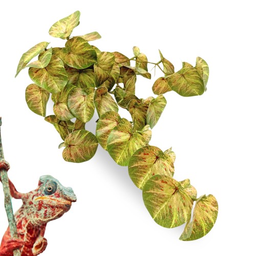 38bc2e2fe453a22c34abf0606aac3855