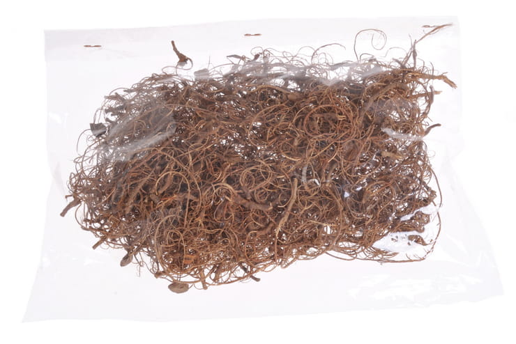 BioIndian Roots Korzonki Indyjskie 25g.jpg