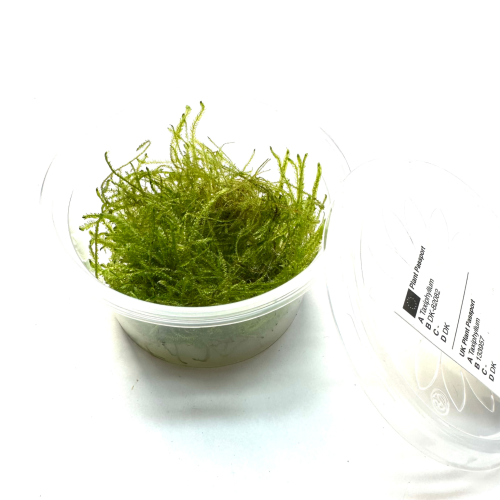 3110ee39ca217ca1900536edd4455e16