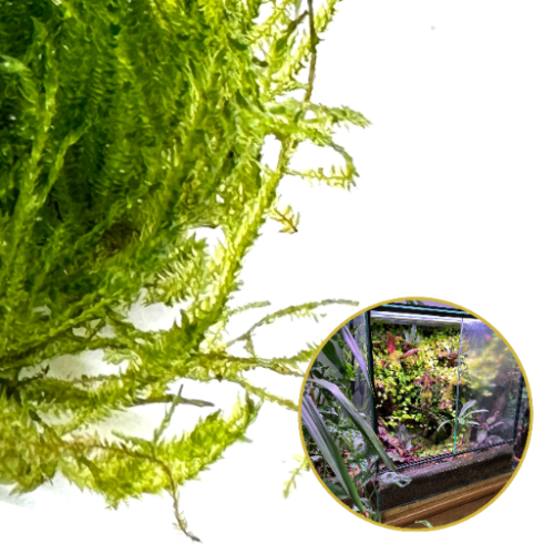 3d40a14335edf24b26459776cd9ed98c