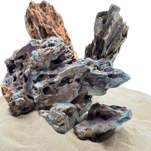 a462be70ff1816077b3ef44d48282bb5