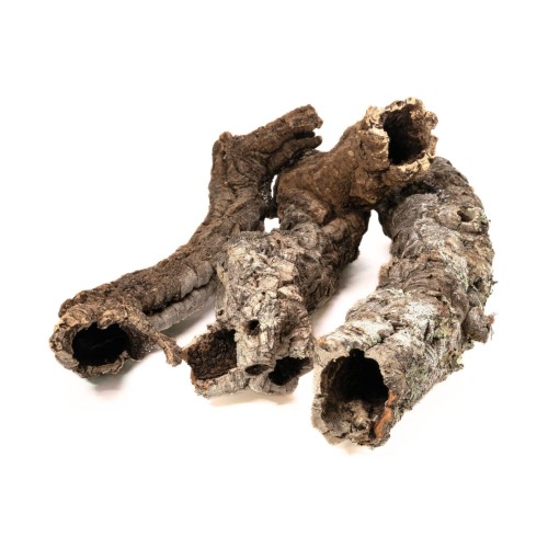 9b400bd1f569c2ca8fa8b8dcce3508f6