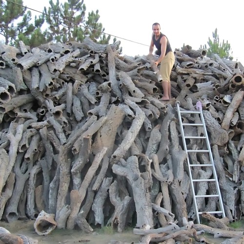 6c009749b564b43dcb885cabee658485