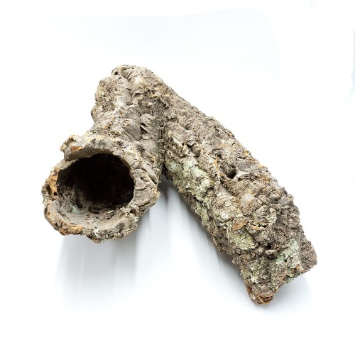 a8b90f0fc055e5edfe5acd4ddba87f39