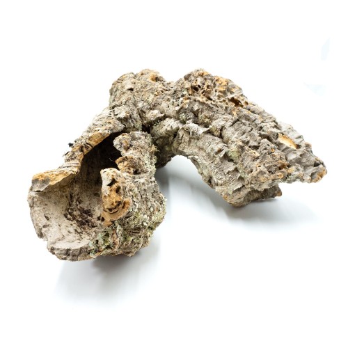 a8e5ff6e91b5f42469c9f21057feae2e