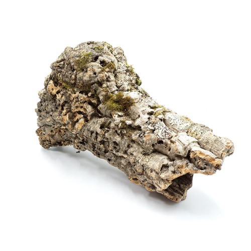 b1d3980a18c100e99a90e34a0e00f149