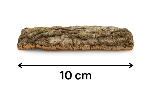 plat-korkowy-do-terrarium-S-10cm