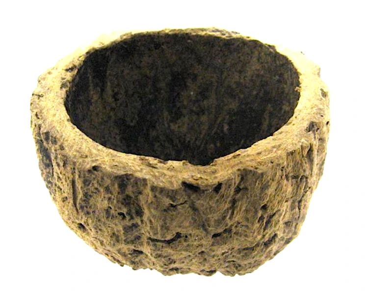 BioBrazil Nut orzech brazylijski.jpeg