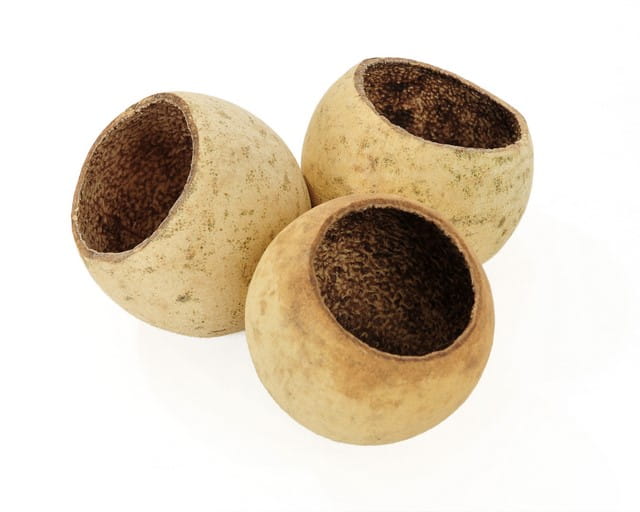 BioDesert Nut suszona makówka 5szt w opakowaniu.jpeg