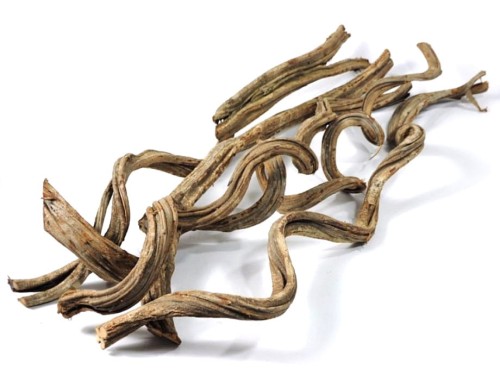 BioCurly Liana kręcona.jpeg