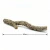 gałąź 40cm.webp