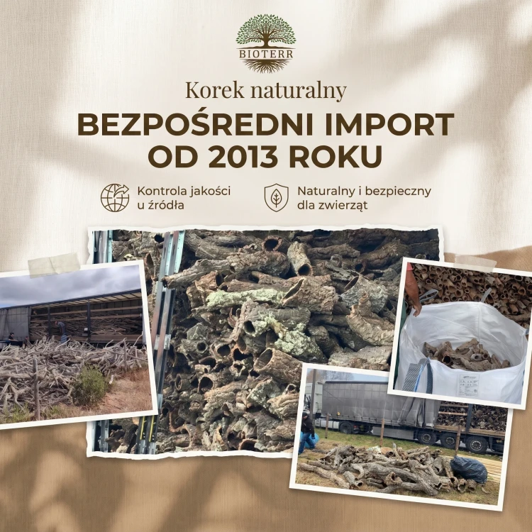 bezpośredni import.webp