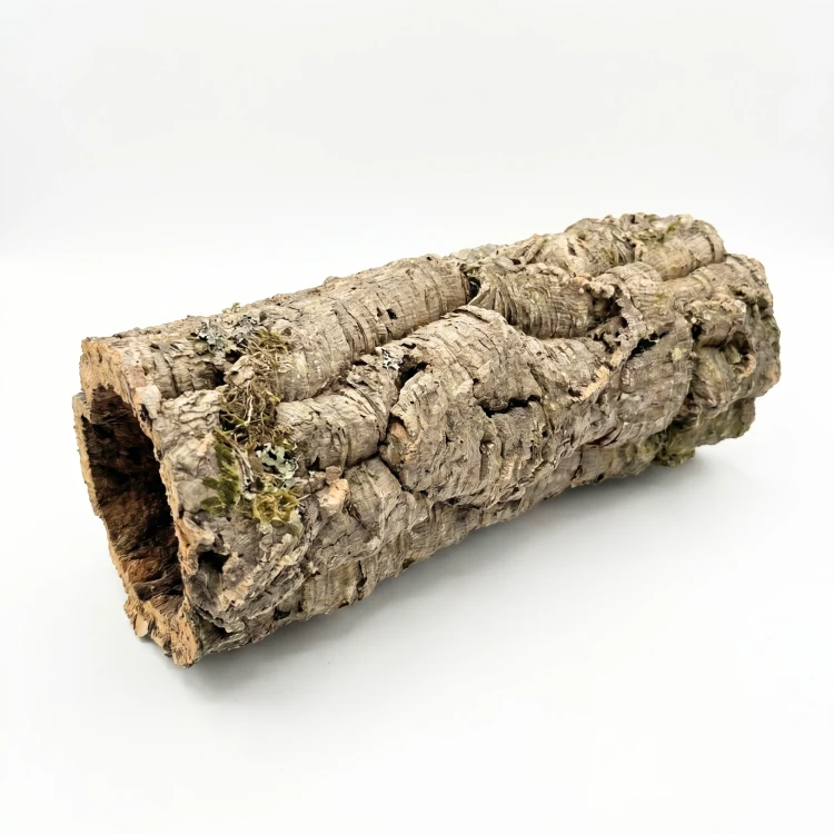 korek do terrarium.webp
