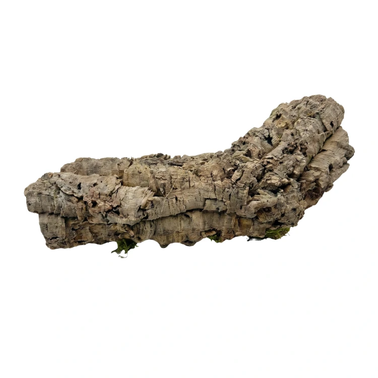 korek do terrarium.webp