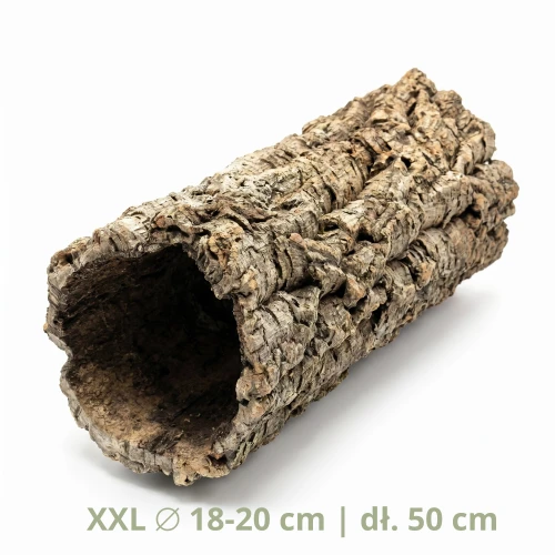 Tuba korkowa xxl.webp