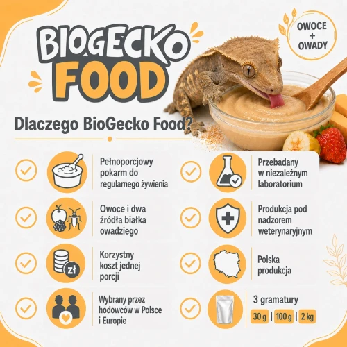 Dlaczego BGF_ .webp