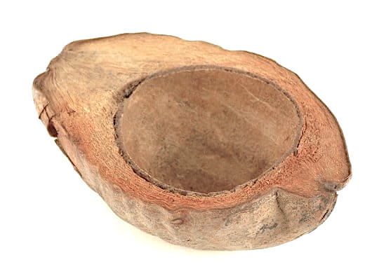 BioCoco Bowl Miska kokosowa na pokarm.jpeg