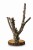 BioBranch Tree 30cm-60cm Drzewko Dębu korkowego.jpg3.jpg