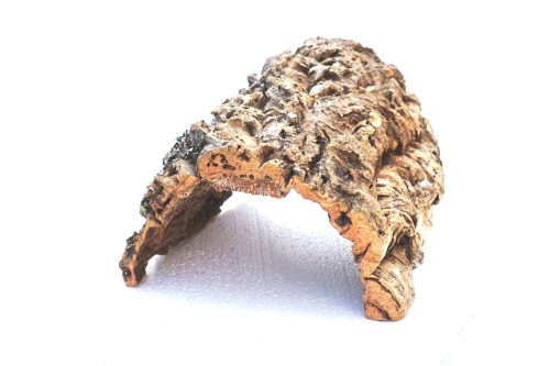 BioCork Cave S-XL.jpeg