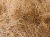 fibre.png