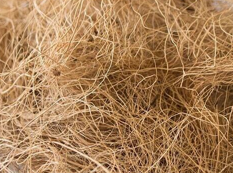 fibre.png