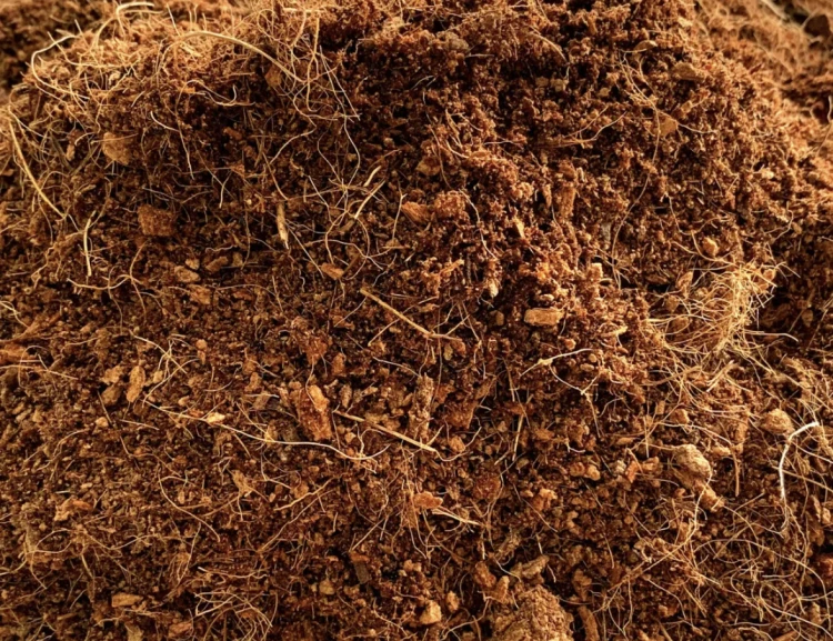 BioCoco ready to use.png