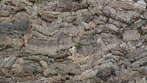 BioVirgin Cork Background Grey.jpeg