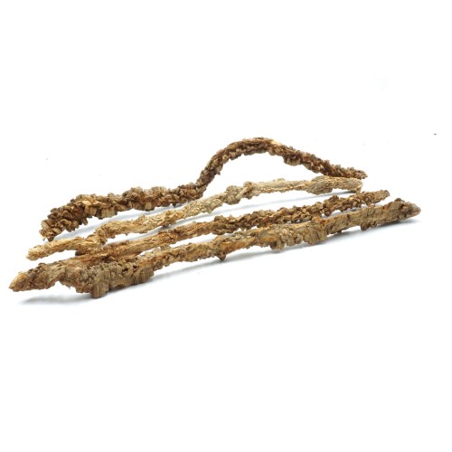 Bez nazwy-1_0017_DSC02404.jpg