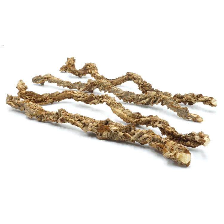 Bez nazwy-1_0024_DSC02390.jpg