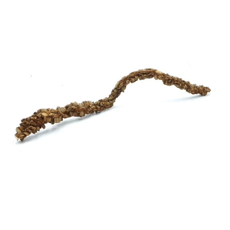 Bez nazwy-1_0018_DSC02403.jpg