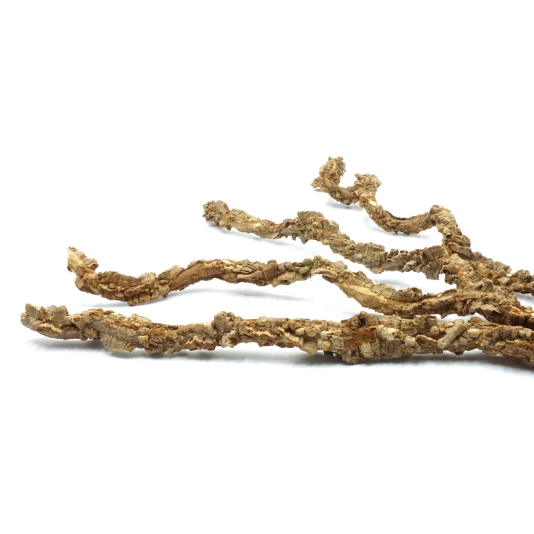 Bez nazwy-1_0023_DSC02393.jpg