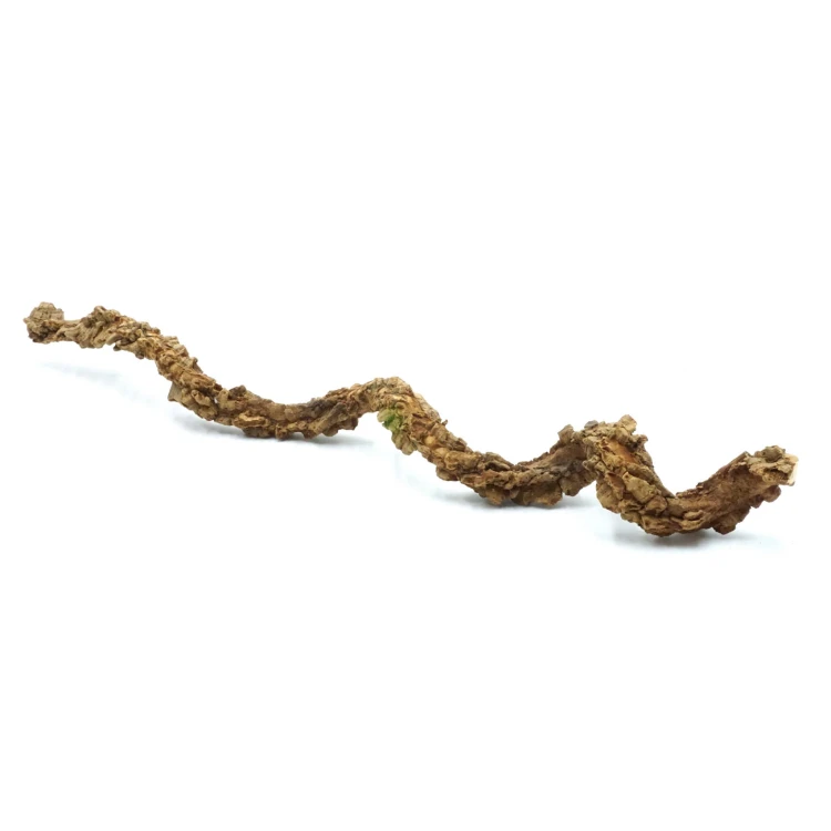 Bez nazwy-1_0025_DSC02389.jpg