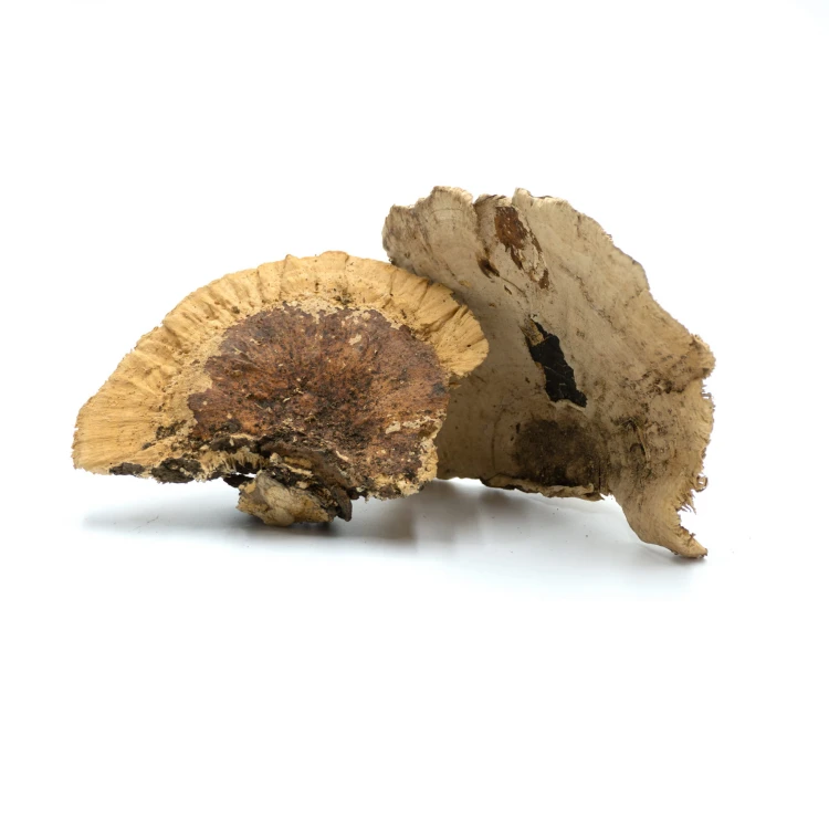 Bez nazwy-1_0012_DSC02120.jpg