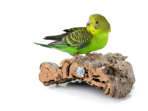 768510ca96ce356eafc9d8f4502292f3