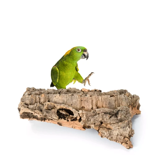 46b922aa5476453bdff1397870617f7d