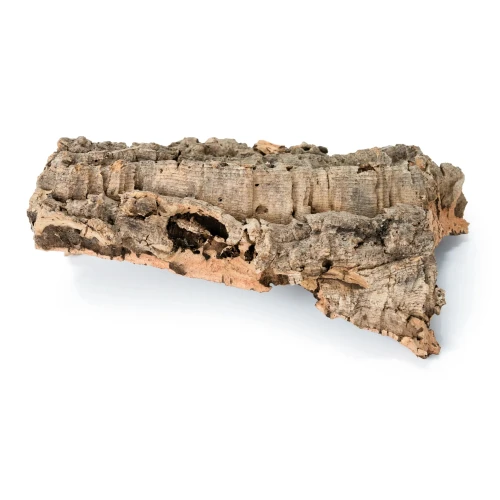 4674c9afc04d3e2d5033ad9a4df5d2ea