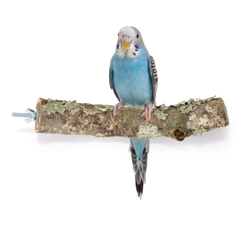 0317df5f8fca38f9d7e408d9e0a09f5c