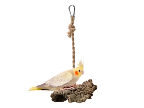 794e2347cf4ab62a2b5227b7c3b69381